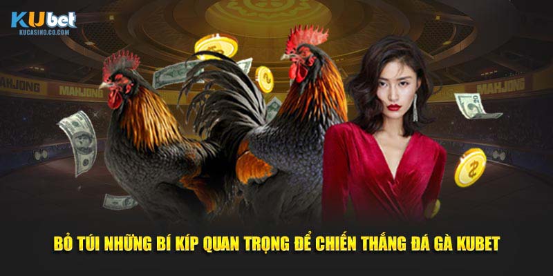 Bỏ túi những bí kíp quan trọng để chiến thắng đá gà Kubet