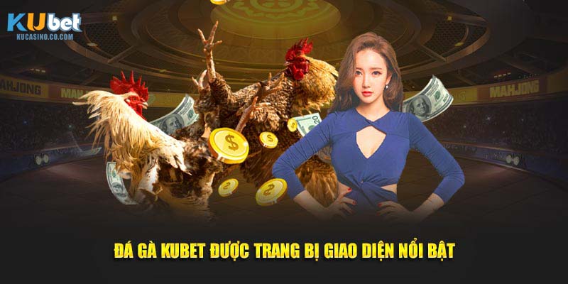 Đá gà Kubet được trang bị giao diện nổi bật