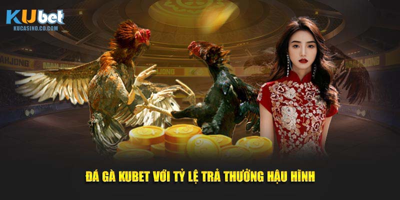 Đá gà Kubet với tỷ lệ trả thưởng hậu hĩnh