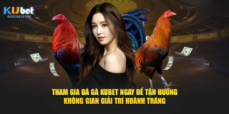 Tham gia đá gà Kubet ngay để tận hưởng không gian giải trí hoành tráng