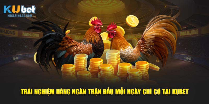 Trải nghiệm hàng ngàn trận đấu mỗi ngày chỉ có tại Kubet